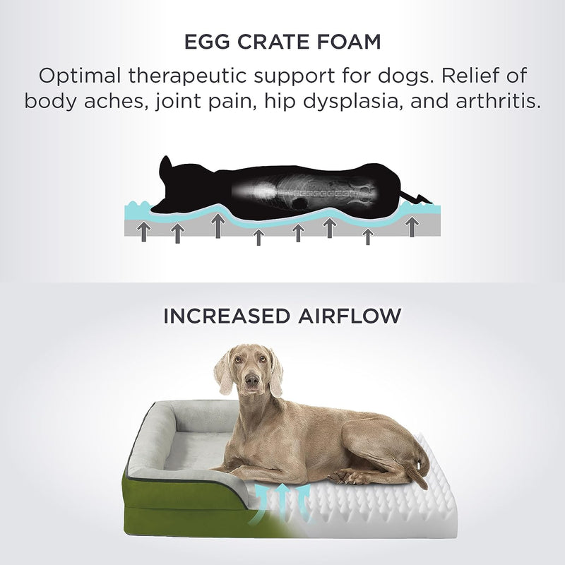 Bedsure Orthopedic Dog Bed for Medium Dogs