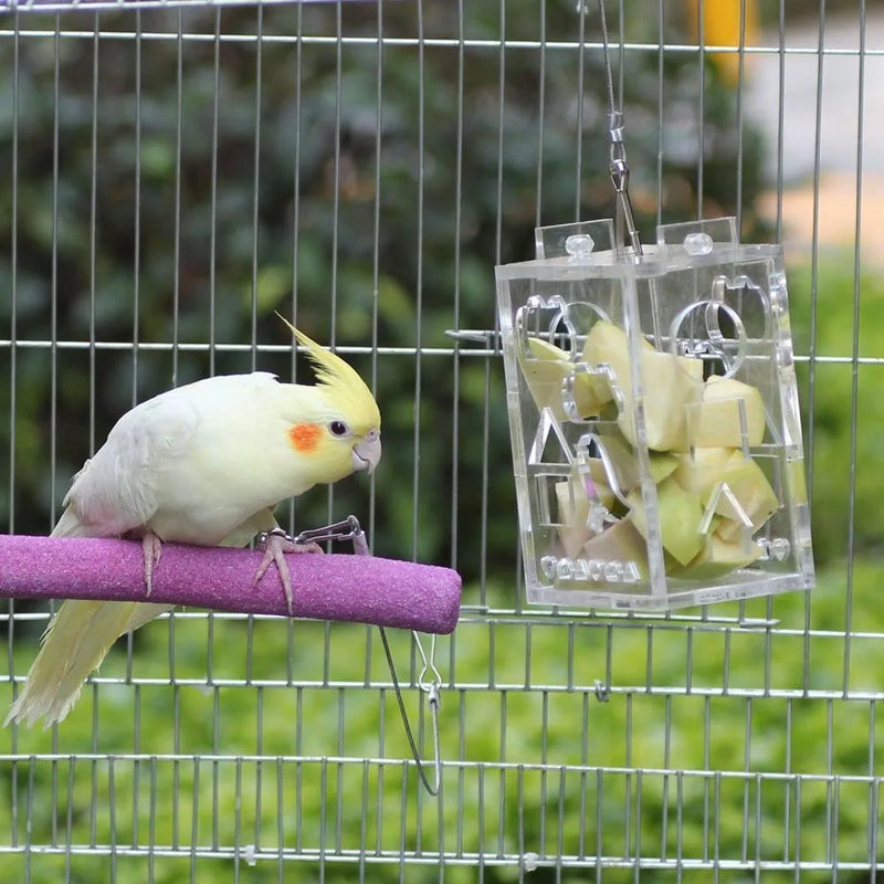 Bird Parrot Hanging Foraging Feeder Feeding Box