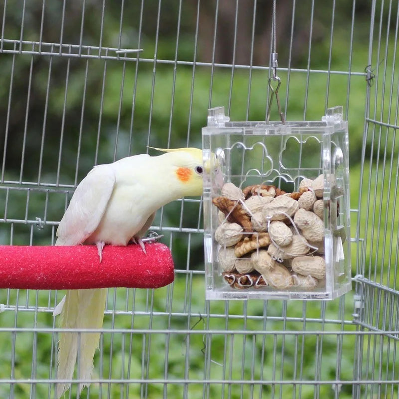 Bird Parrot Hanging Foraging Feeder Feeding Box