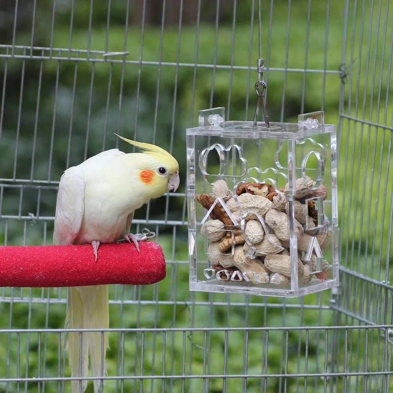 Bird Parrot Hanging Foraging Feeder Feeding Box