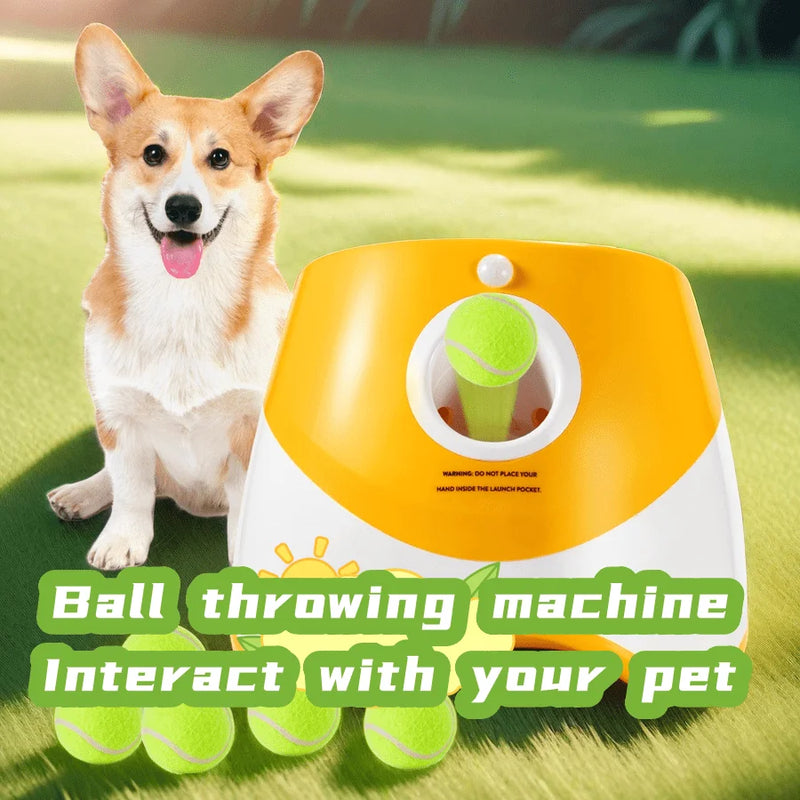 Dog Automatic Throw Launcher Toy