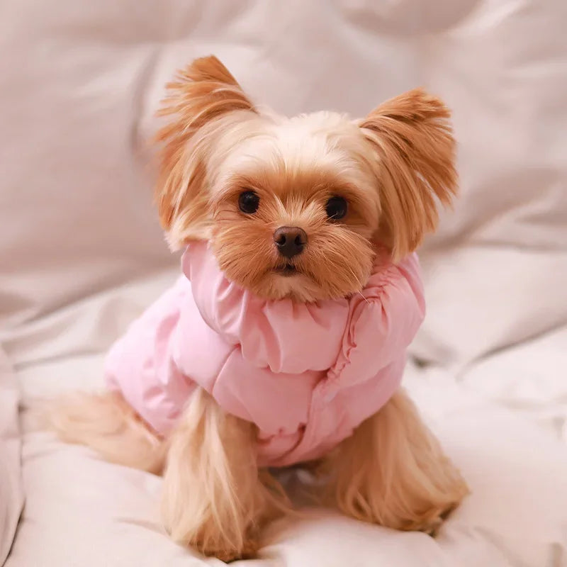 Dog Luxury Winter Warm Coat Vest