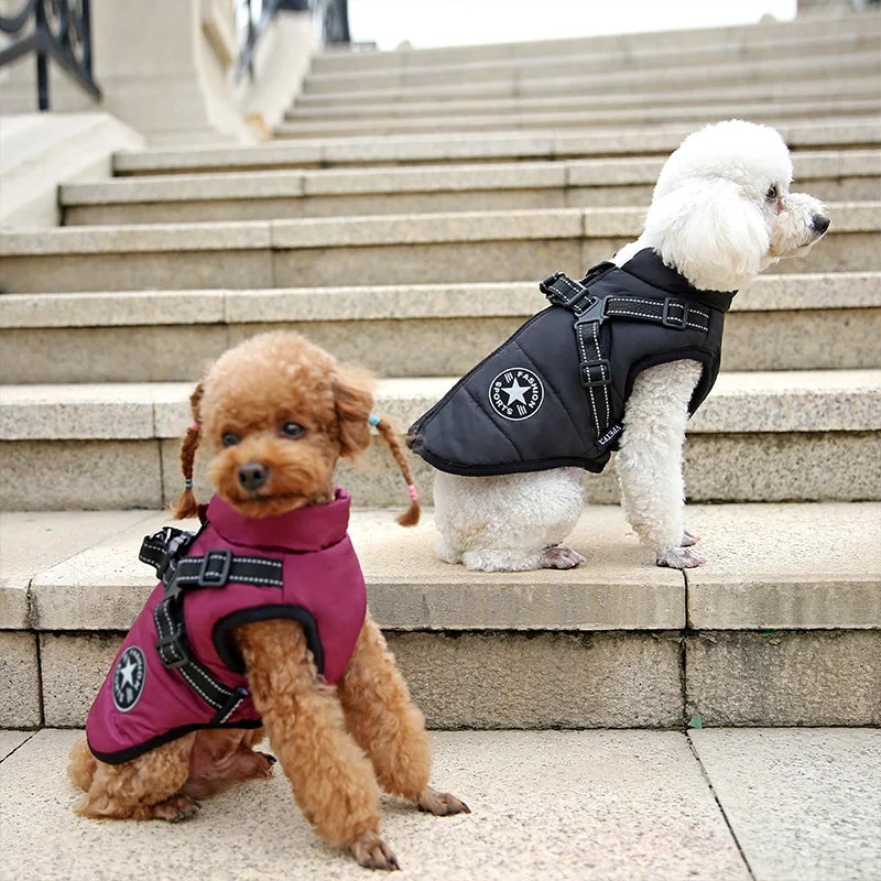 Dog Waterproof Winter Warm Jacket