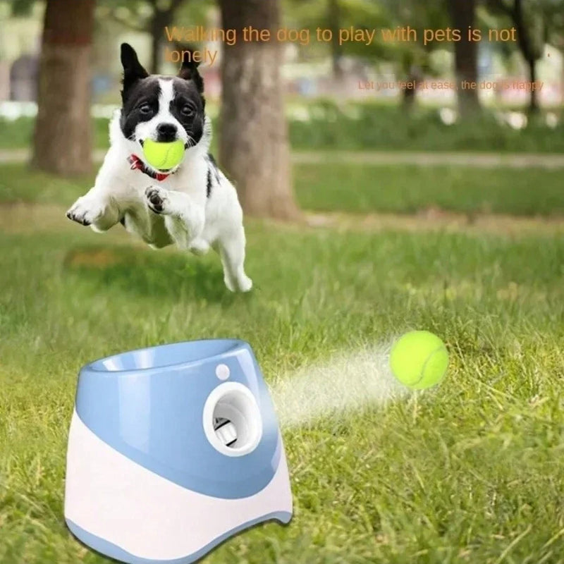 Dog Automatic Throw Launcher Toy